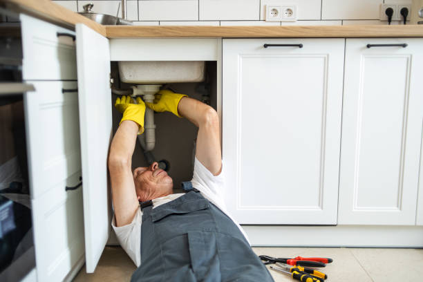 Best Sprinkler Systems  in Walden, TN